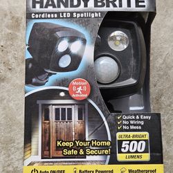Security Light