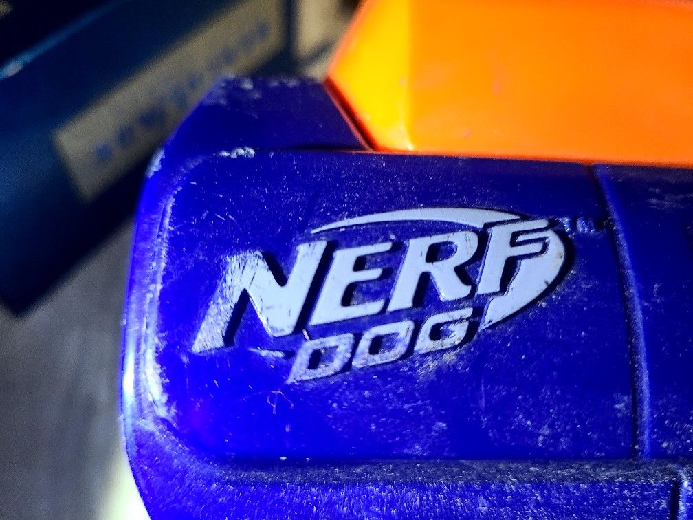 Nerf Dog