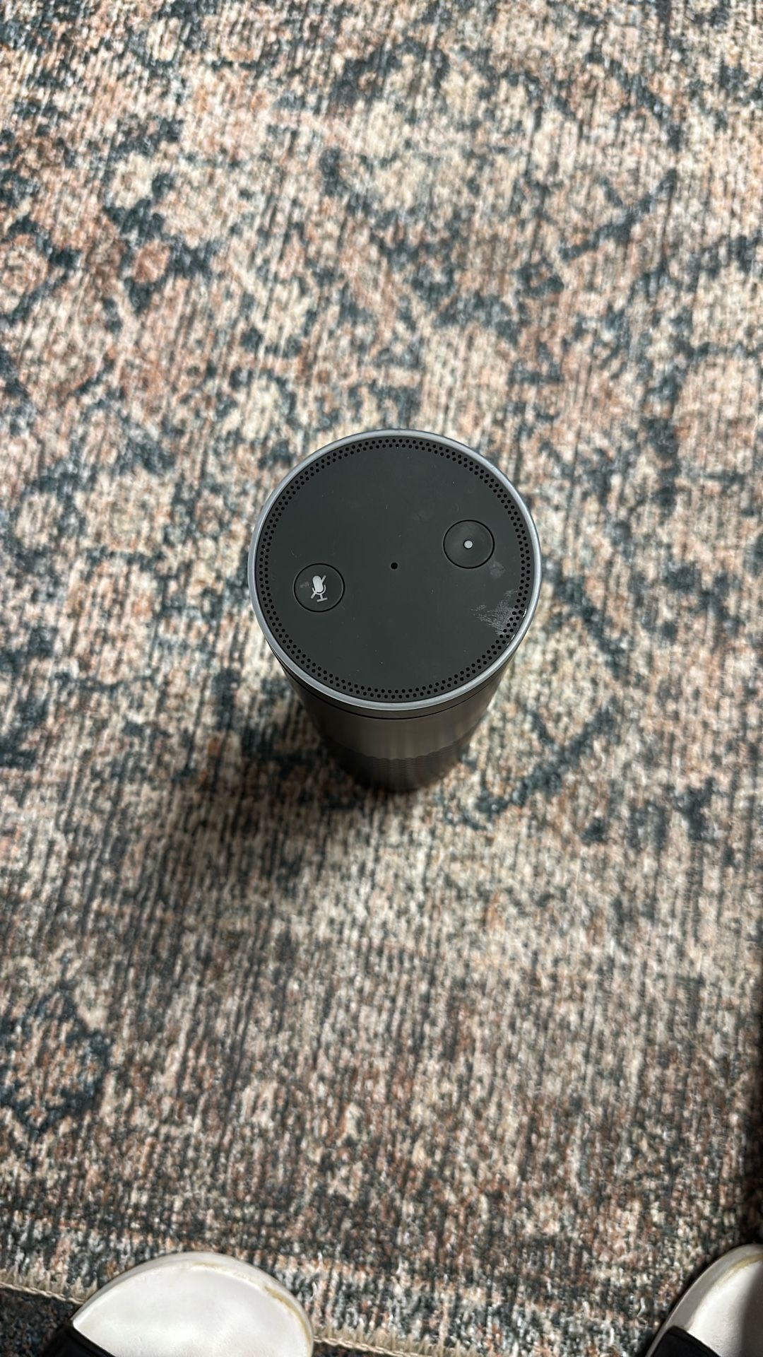 amazon echo plus