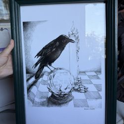 Raven Picture
