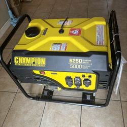 Brand New Generator Never Be Used Brand New Inbox. I Opened Up Back To Take A Picture.