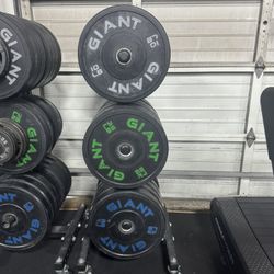 Giant Bumper Plates 