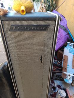 Guitar amp/ speaker
