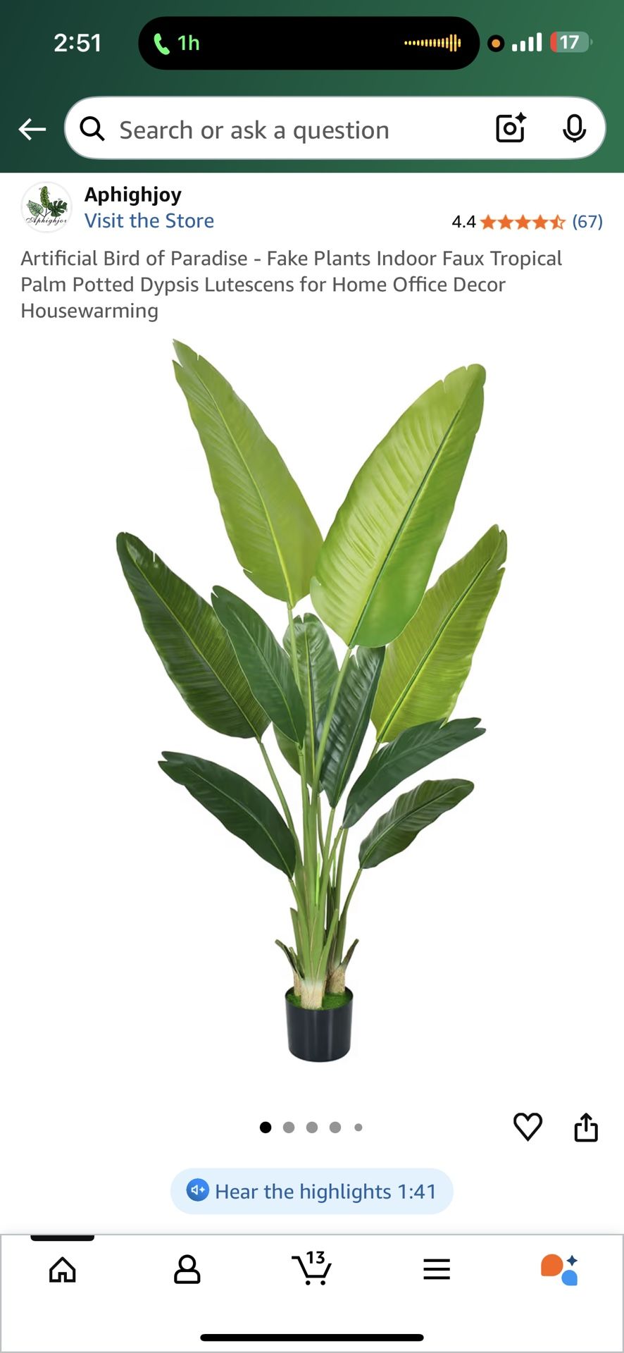 Bird Of Paradise, Artificial Plant