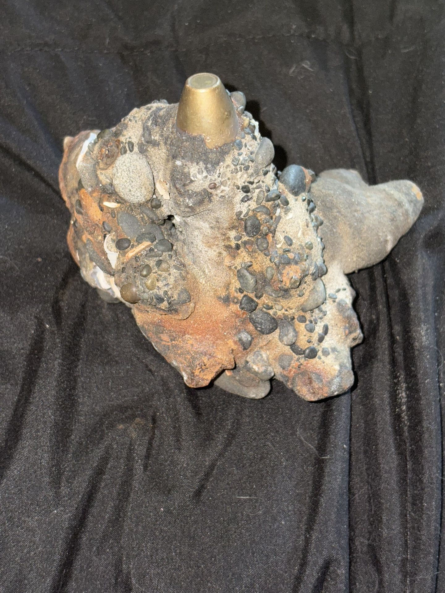 Collectibles Item From The Beach