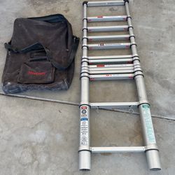 Telescoping Ladder With Bag