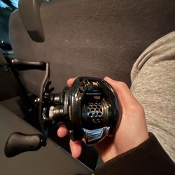 Ark Gravity Bfs Reel