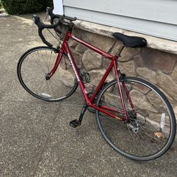 Schwinn Fastback Sport 