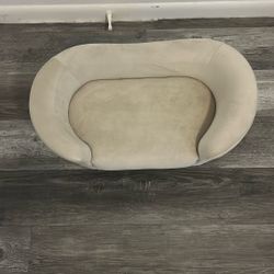 Small Dog Couch