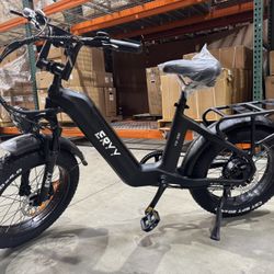 Carbon Electric Bike