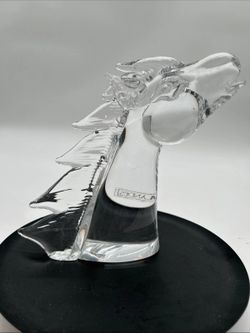Horse Head, Crystal Lindens/Landau