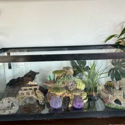 20 Gallon Aquarium 