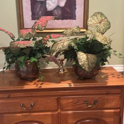 Fake Plants 