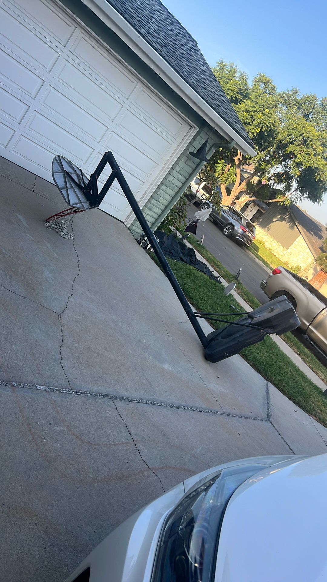 Free Basketball Hoop