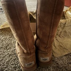 Tall Uggs Chestnut 