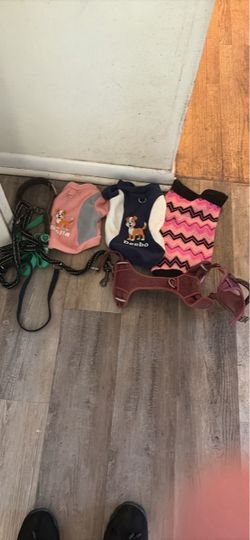 Small Dog Clothing and Accessories Bundle