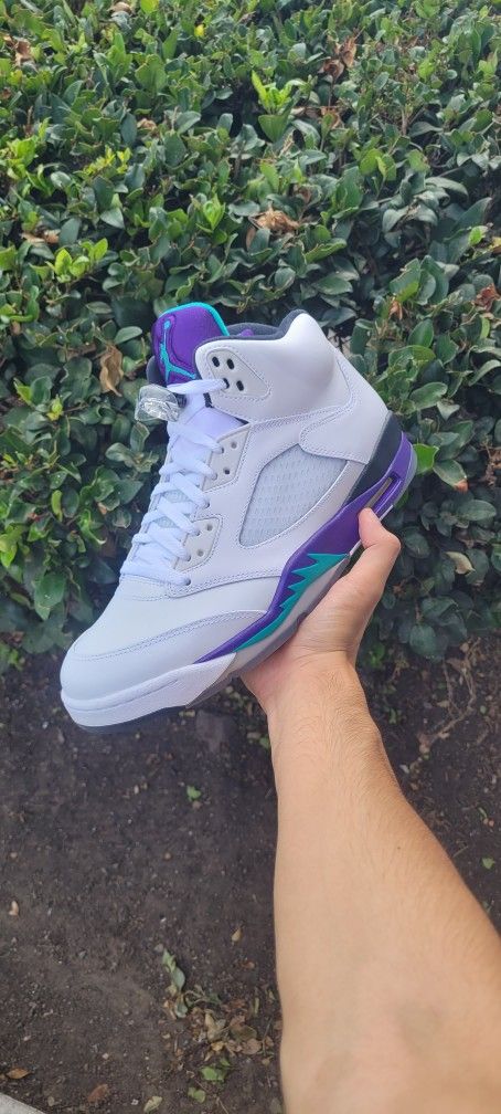 Jordan 5 Retro Grape (2013)