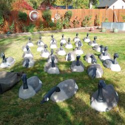 Waterfowl Grand Magnum Canada Goose Shells