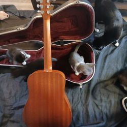 Baby Taylor Accoustic Guitar