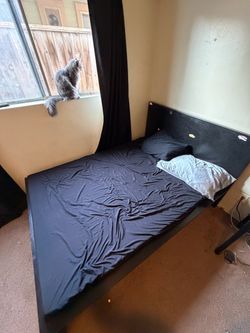 Free bed FULL SIZE