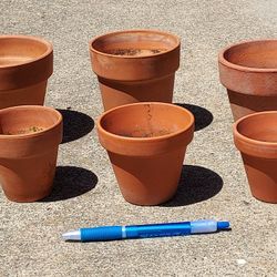 Terracotta & Ceramic Pots