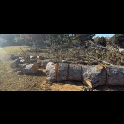Free Firewood