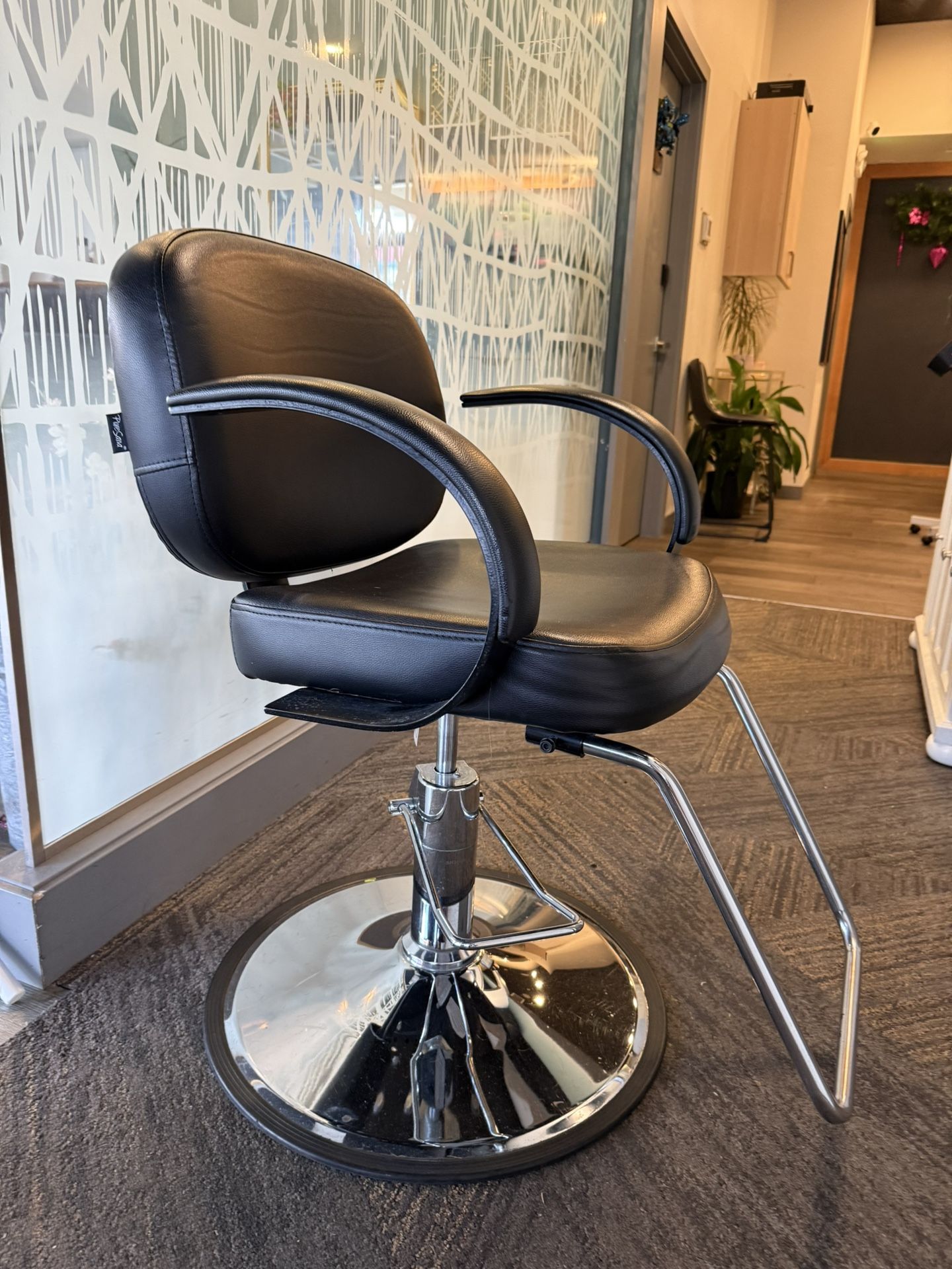 I Have Two Beautiful Salon Chair