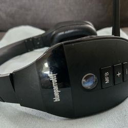 Blue Parrott Headset 