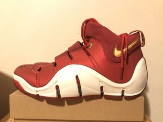 Mens Nike Zoom Lebron IV China Limited Release Autographed Size 14