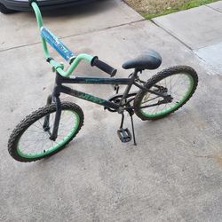 Youth Bicycle 
