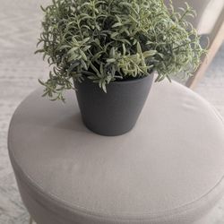 Artificial Green Potted Plant (8" x 8")