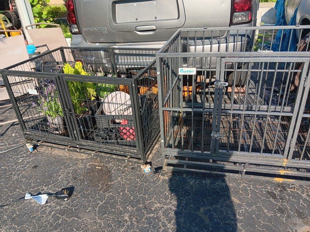 Dog Cage
