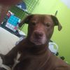 Junior