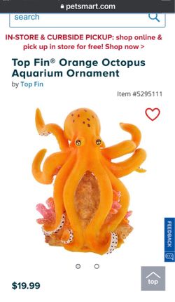 Aquarium display