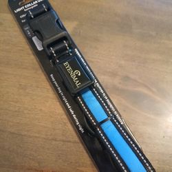 Blue LED Dog Collar Small