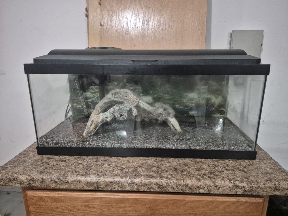 20 Gal Long Aquarium/Fish Tank
