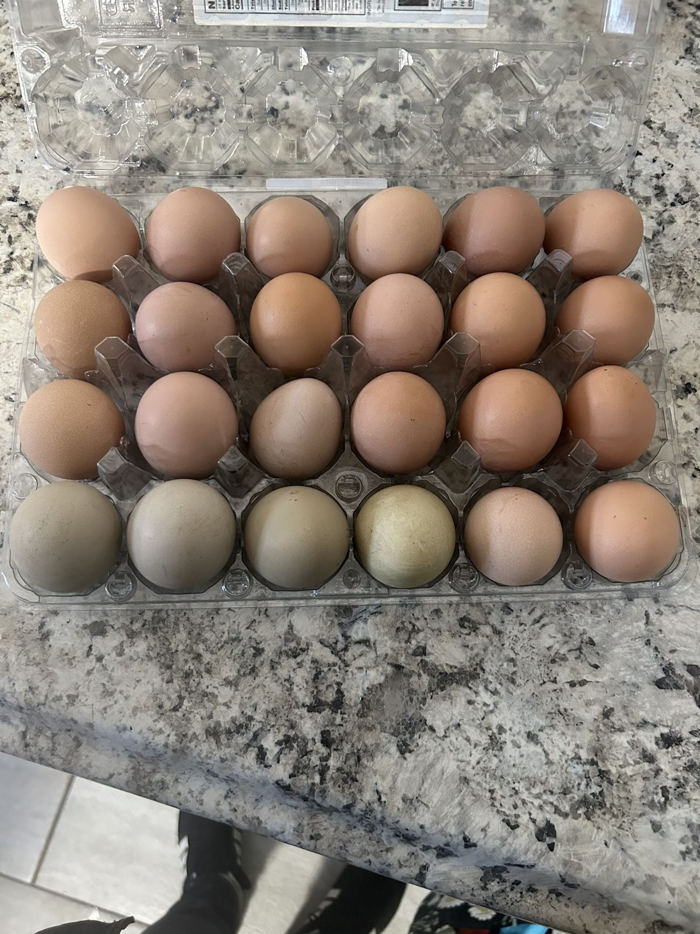 Eggs