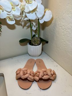 Women’s Sandals 