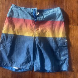 Men’s Swim Trunks - Large