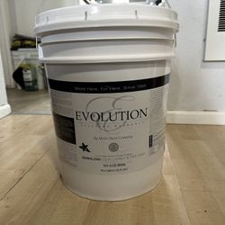 Miller evolution paint