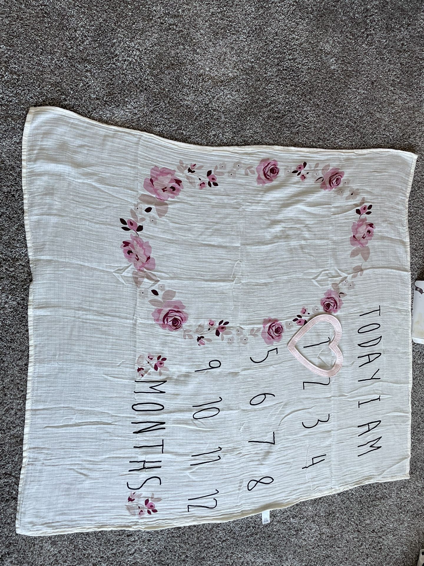 Babygirl Monthly Milestone Blanket