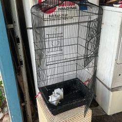 Bird Cage