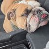 George