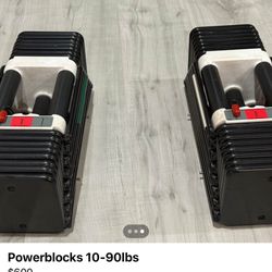 Power Blocks 10-90lbs + Stand 