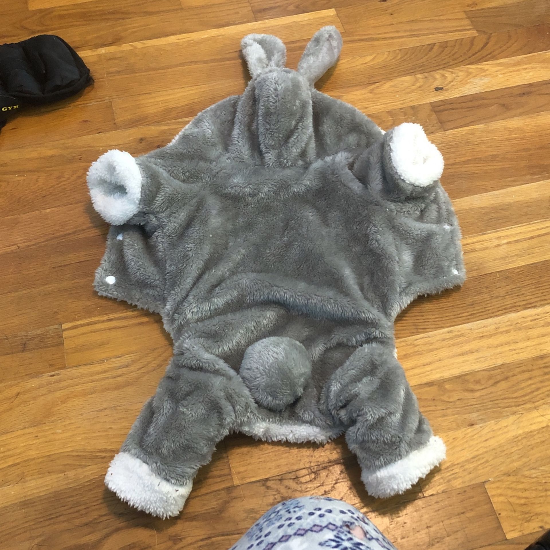 Dog costume