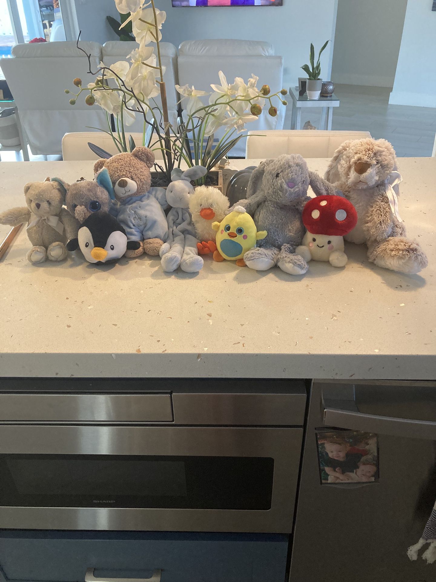 Soft Stuffed Animal Bundle (10)
