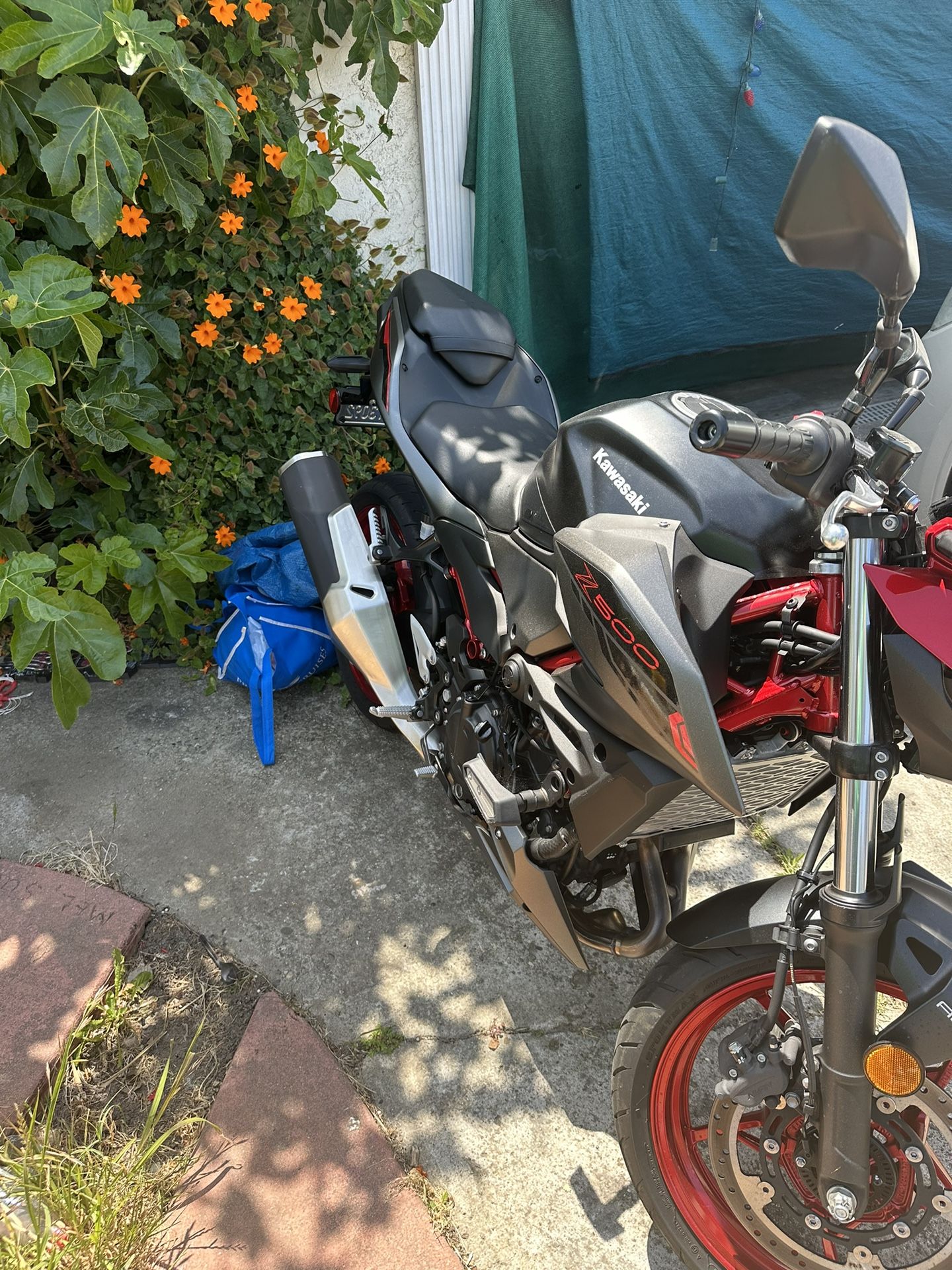 2024 Kawasaki Z500