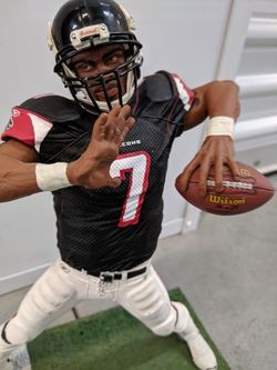 Falcons statue