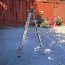 5 foot ladder