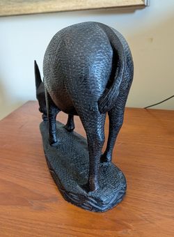 African Goat Species